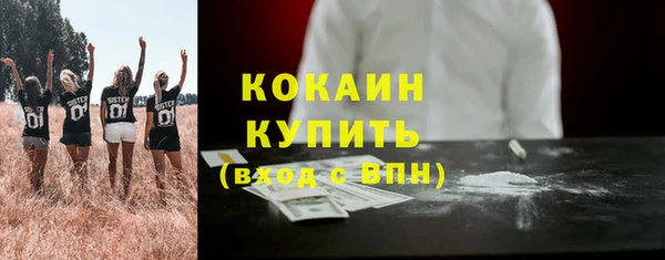 стаф Покровск