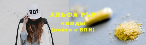 PSILOCYBIN Покров