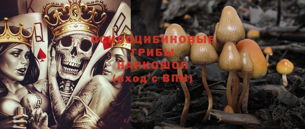 стаф Покровск