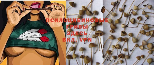 стаф Покровск
