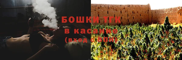 PSILOCYBIN Покров