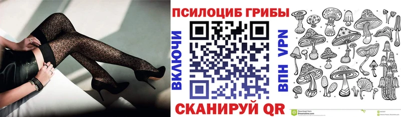 где купить наркоту  нарко площадка как зайти  Псилоцибиновые грибы Cubensis  Ардатов 