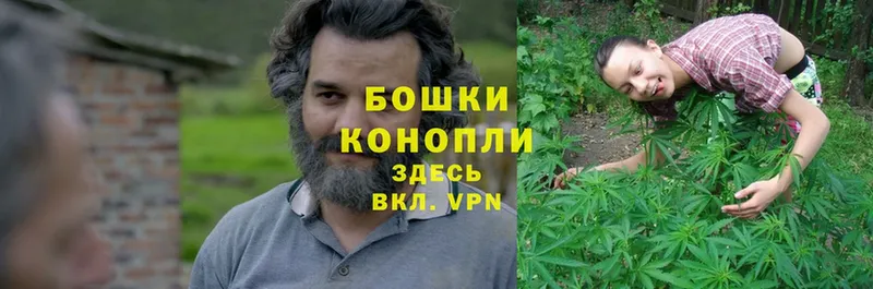 МАРИХУАНА Amnesia  купить   Ардатов 